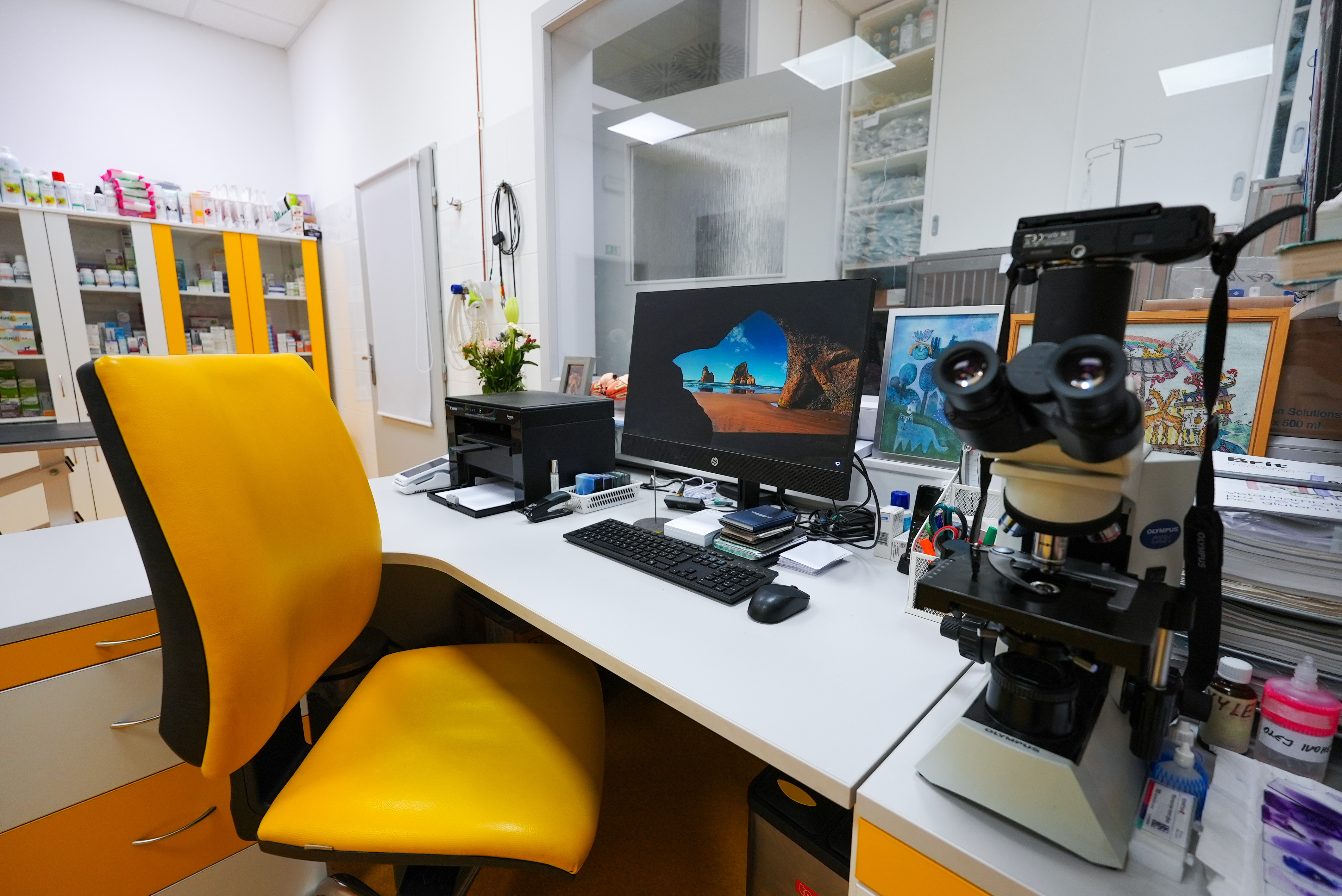 Pracoviště s optickým mikroskopem