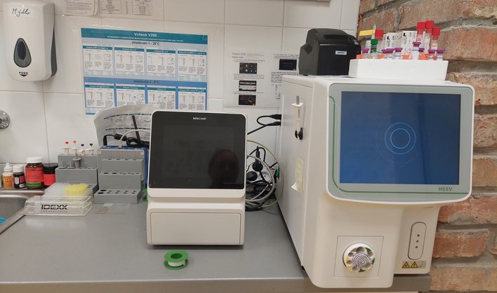 lab