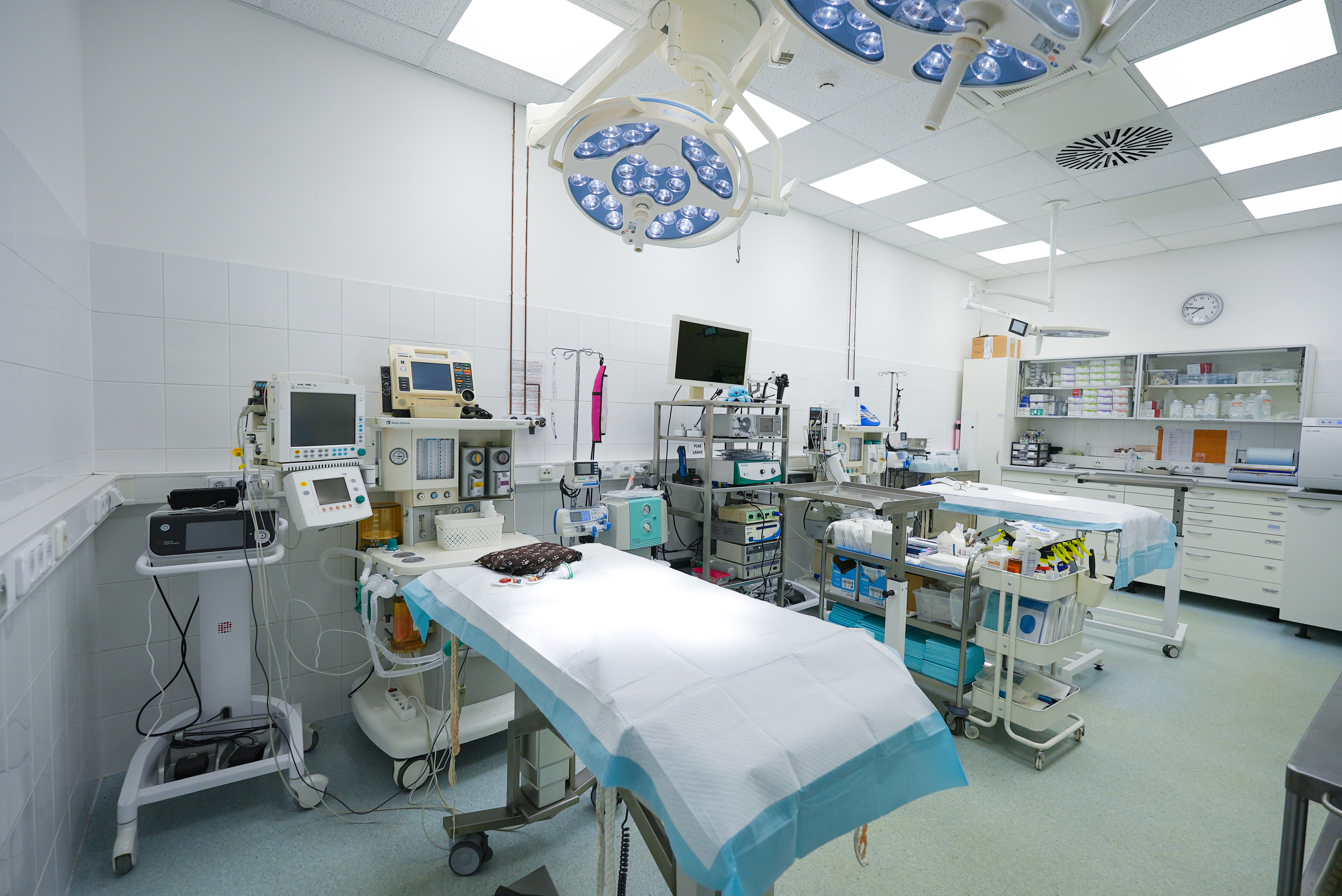 Moderně vybavený operační sál veterinární kliniky s monitorovací technikou a inhalační anestezií